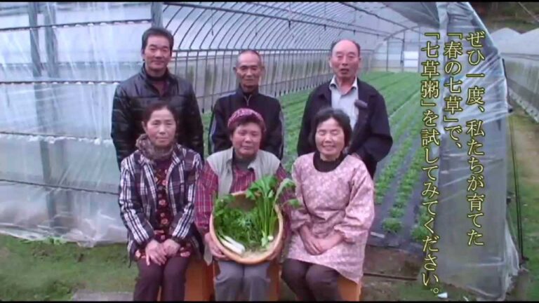 佐賀市富士町産 「春の七草」。日本の伝統食「七草粥」レシピ紹介