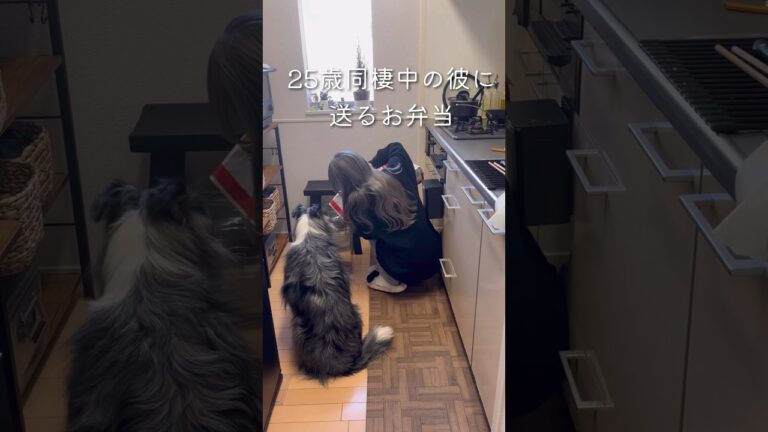 みんな大好きわんぱくツナサンド弁🥪#わんぱくサンド #同棲ご飯 #毎日弁当#おしゃピク