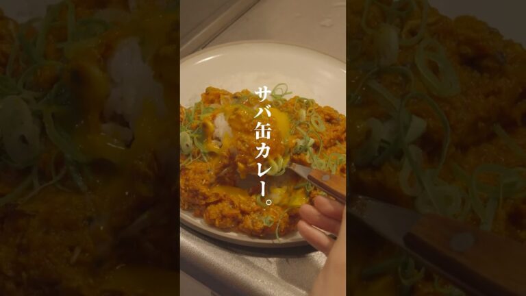 週1で食べたくなる。サバ缶カレー。【飯の失敗は許されていない。】