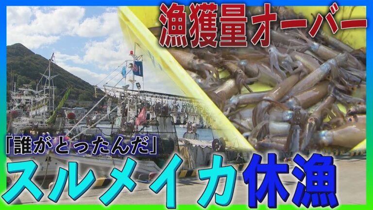 イカ漁師「誰がとったんだ」漁獲可能量超過で休漁に困惑　飲食店でも「営業止まる」不安の声　函館市