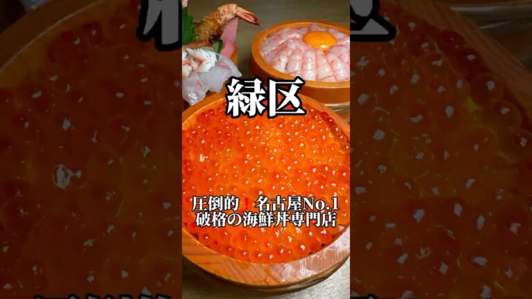 名古屋No.1コスパ最強海鮮丼　味福　#名古屋グルメ #海鮮丼 #japanesefood #nagoyafood