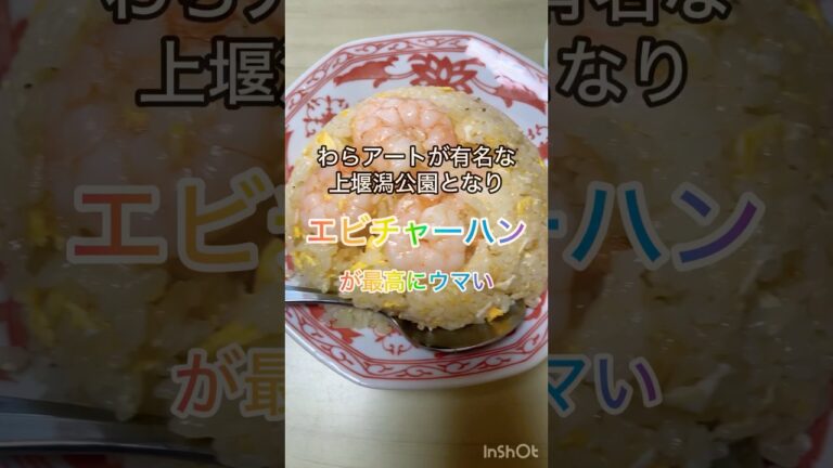 【新潟グルメ】エビチャーハンが絶品！オモウマでやってた「店先に花があるお店は良店」は立証されました。#チャーハン #炒飯 #ラーメン