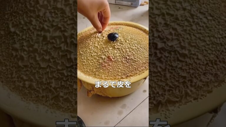 簡単な塗装の剥がし方