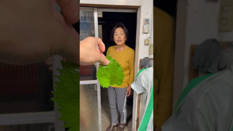 韓国出身の母さんが教えてくれる【大葉キムチ】 #キムチ #キムチの家 #food #佐渡