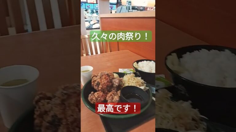 すた丼の鬼盛り唐揚げスタミナ定食😁　#shorts  #ハイエースで車中泊 #犬とお出かけ