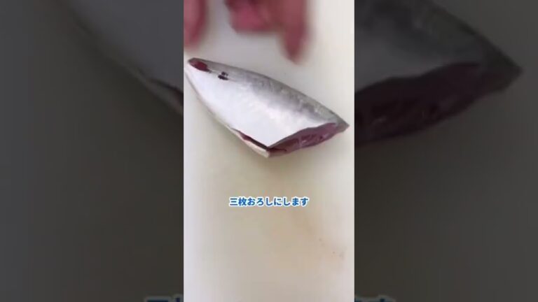 アジの三枚おろしができるまで　#魚　#捌き方