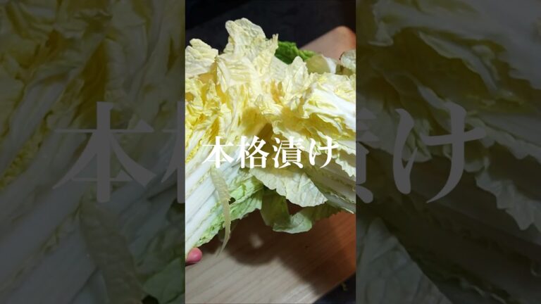 漬物樽が無くても大丈夫　＃shorts　＃白菜漬け　＃浅漬けレシピ　#asmr
