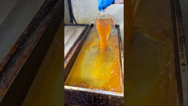 巨大な鉄板で焼くシラス卵焼き#japanesefood