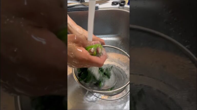 ＼作り置き／ほうれん草の洋風サラダ レシピはコメント欄に記載 #shorts