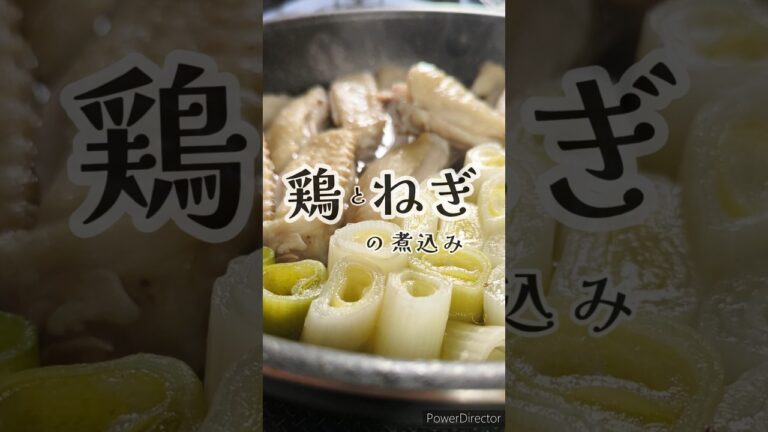 シンプルがおいしい。手羽とねぎの煮込みスープ🥢　#簡単レシピ