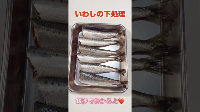 15秒で分かる！いわしの開き方／Find out in 15 seconds! Preparation of sardines #ショート#ショート動画#イワシ#いわし#イワシの下処理#イワシの捌き方
