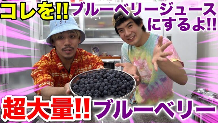100％ブルーベリージュース作ってみたら予想しない展開に！？