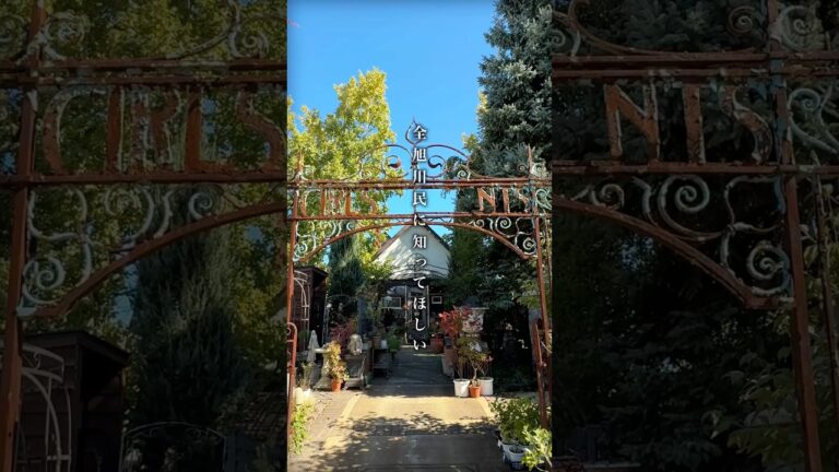 全旭川民に知ってほしいお洒落カフェ #旭川グルメ #旭川ランチ #北海道グルメ