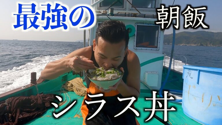 【シラス丼】漁師も唸る！獲れたてのシラスで漁師飯！