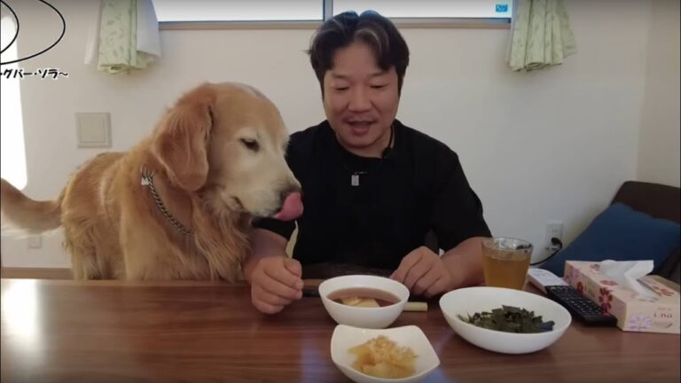 数百年続く我が家のお雑煮。歴史を味わう 【golden retriever japan】