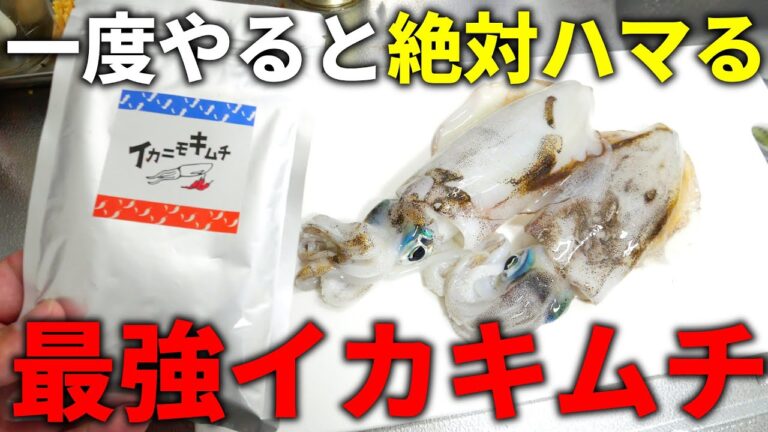 一度知ったら二度と戻れない、中毒性爆発の簡単激ウマイカキムチを、エギングで釣ったイカで教えます。