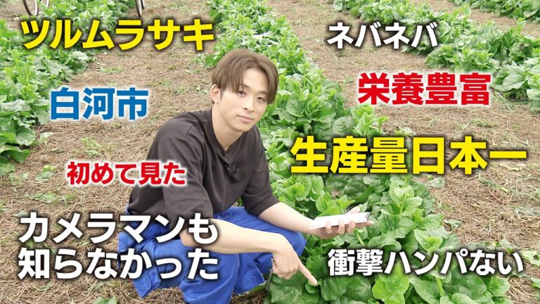 【初対面に感動！】つるむらさきって…どんな味！？