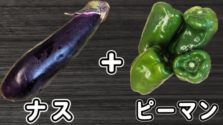 【ナスとピーマンのレシピ3品】箸が止まらない簡単料理！夏野菜大量消費レシピ　お手軽副菜の作り方