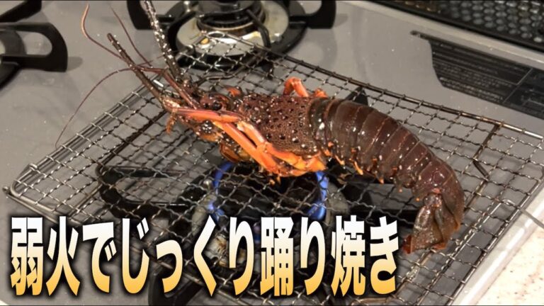 元気な伊勢海老を弱火で気づかれないように踊り焼きした結果。。。#shorts