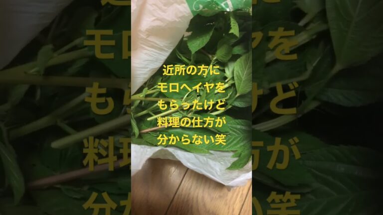 近所の方に大量のモロヘイヤをもらったけど料理の仕方が分からない笑😊大量✨大盛り✨