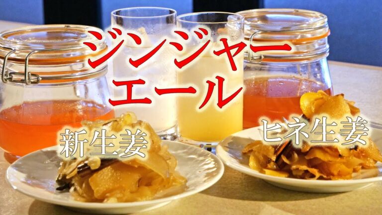 辛くて甘い！！自家製【ジンジャーシロップ】お好みの炭酸水で【手作りジンジャーエール】新生姜・ひね生姜 どっちが美味しい！？