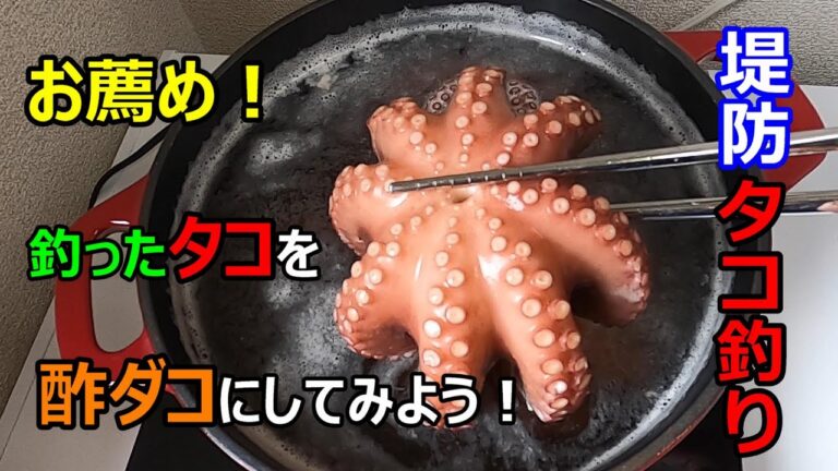 【堤防タコ釣り🐙】お薦め！釣ったタコを、酢ダコにしてみよう！