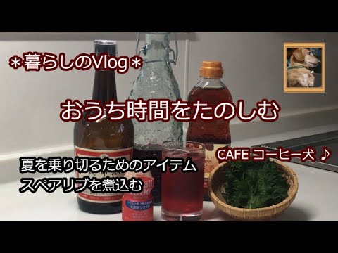 【Vlog #46】夏を乗り切るためのアイテム / スペアリブの煮込み / 家庭菜園 / お米の保存方法 / しそジュース