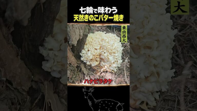 東出昌大 / 天然きのこバター焼き