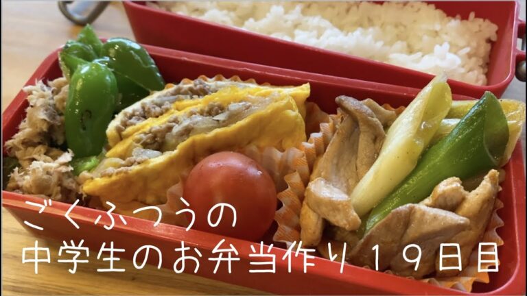 １９日目♫ごく普通の中学生のお弁当づくり♫オムレツ♫