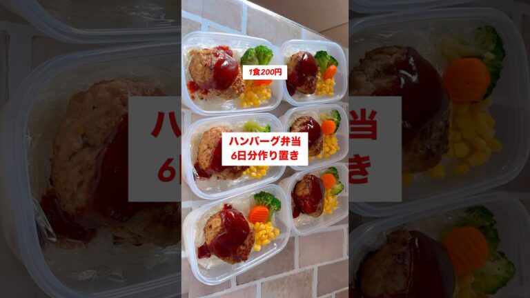 【ワンパン】【ハンバーグ弁当】6日分作り置きして冷凍🍳#shorts #作り置き #ハンバーグ