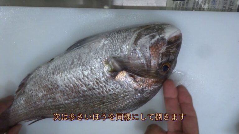 今年初、真鯛が釣れた『男の料理』フライ用、塩麴漬け