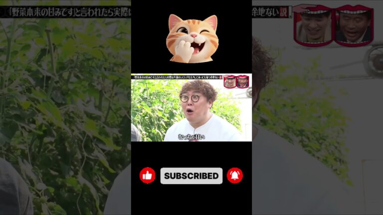 「野菜本来の甘みです」と言われたら実際は大量のシロップを注入してあっても疑う余地ない説