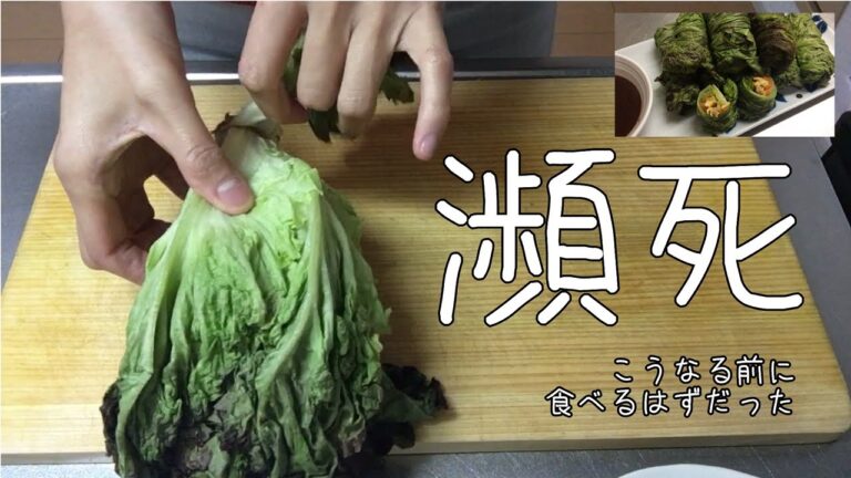 【葉野菜の大量消費】しなしなサニーレタスも最高に美味しく食べれる「ビビンバ風レタス巻き」
