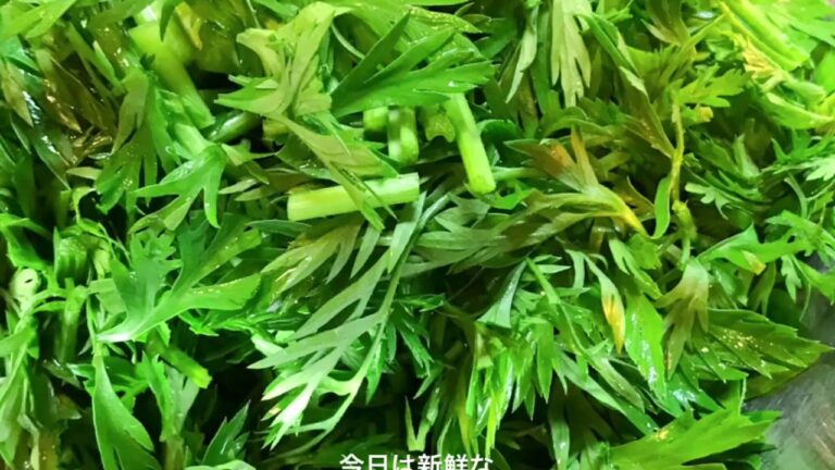 당근잎전 カリカリサクサクニンジンの葉チヂミ