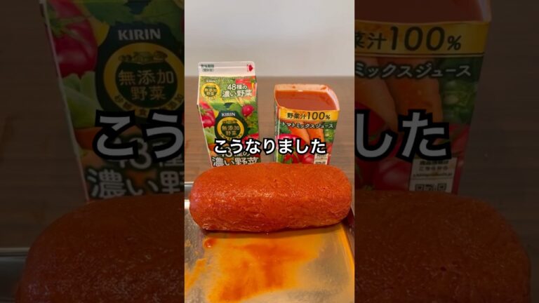 凍らせたトマトジュースを溶かしてケチャップを作ってみた #shorts #おもしろ動画 #funnyvideo #やってみた