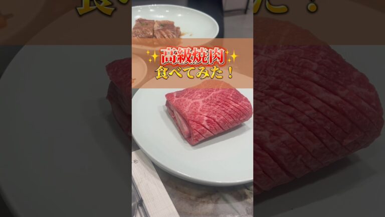 韓国の高級焼肉たべてみた！！