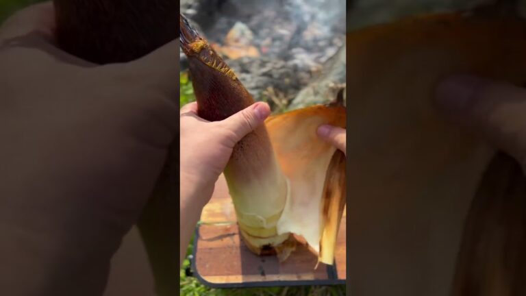 タケノコを焚火で丸焼き【朝摘みでしかできない贅沢】 #焚き火料理 #キャンプ飯 #たけのこ