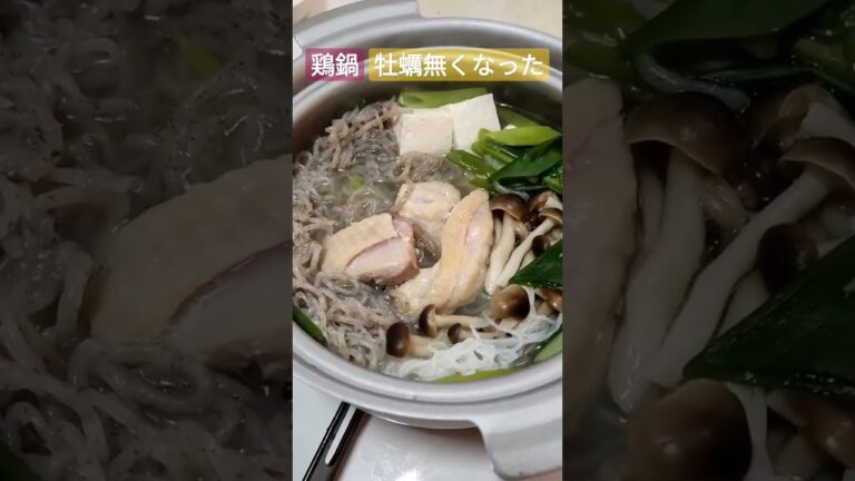 牡蠣鍋→鶏鍋#鍋 #牡蠣 #お昼ごはん