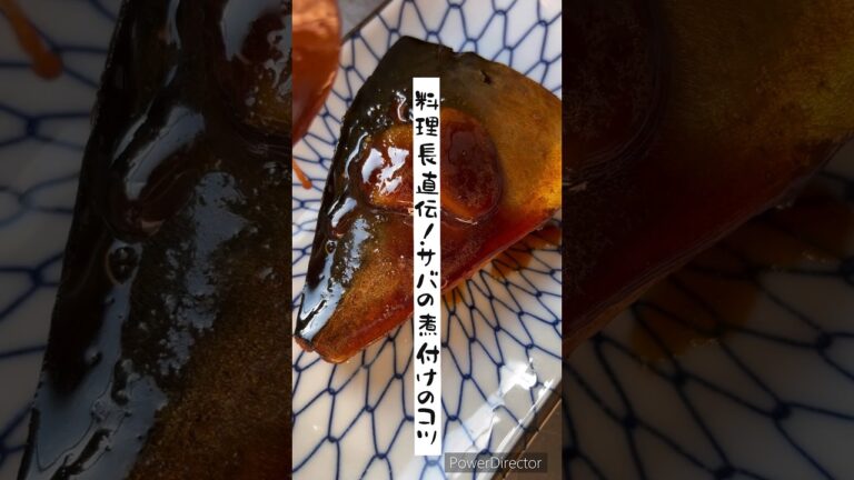 料理長直伝！サバの煮付けのコツ〜🧑‍🍳#shorts #レシピ #料理 #アラサー #晩ごはん #レシピ #メニュー#food #cooking#簡単レシピ#レシピは説明欄にあります