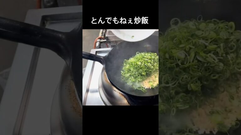 ネギ炒飯#shorts
