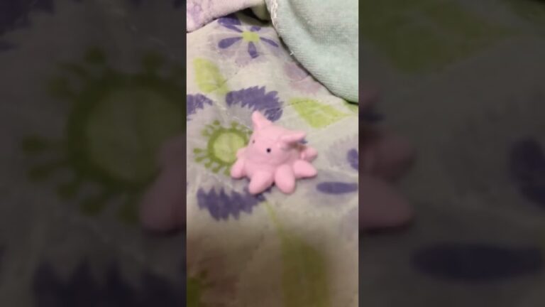 メ　ン　ダ　コ （かわいい）