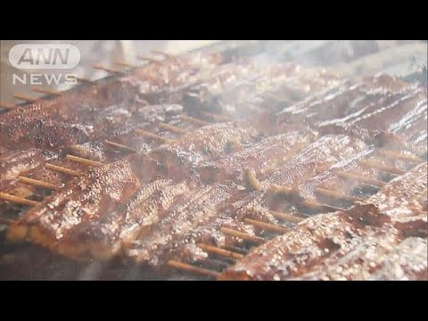 土用の丑の日　高騰で異変　うなぎ無し「たれ飯」も(18/07/20)