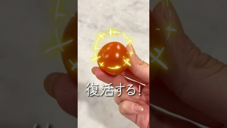 自炊）しなしなトマト復活方法🍅 #トマト #ミニトマト #プチトマト #料理 #料理動画 #自炊 #自炊女子 #裏技 #トマトレシピ