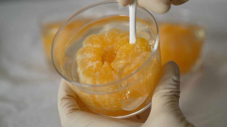 Whole Mandarin Orange Jelly まるごとみかんゼリー