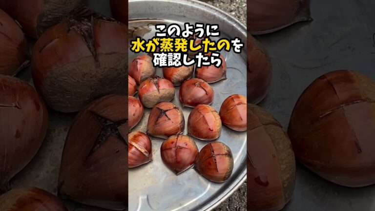 【七輪】秋なので七輪で栗焼いていく #shorts