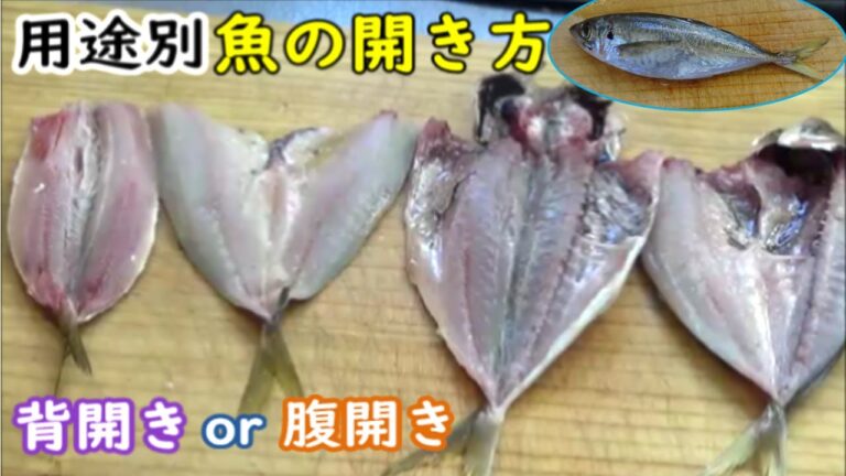【料理別開き方】アジの開き方色々、料理用途別に合わせて使い分け＃アジの開きの作り方＃アジの開きフライ＃アジフライ開き方