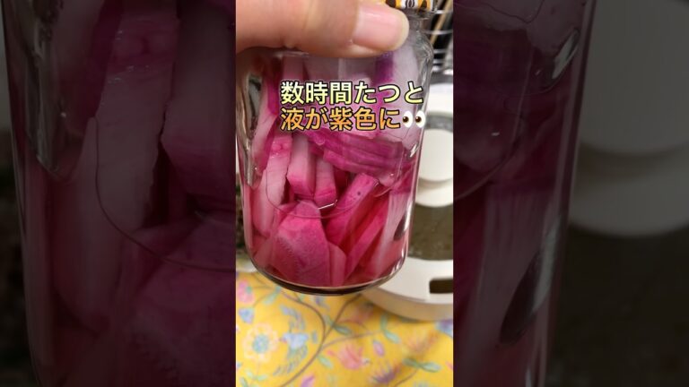 【作り置き】紫大根の甘酢漬けを作る#一人暮らし #簡単料理