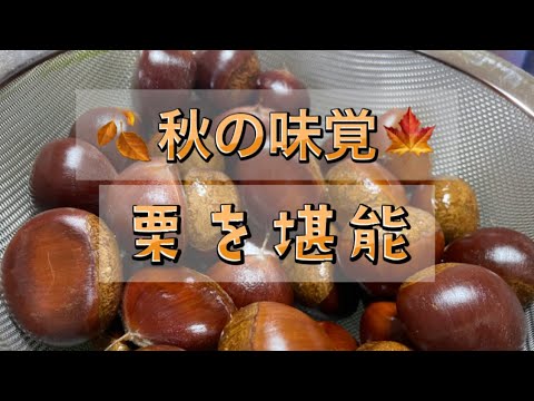 食欲の秋 栗ご飯と渋皮煮　ダイソーフッ素加工メスティンで栗ご飯