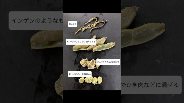 食材高騰の折必見！そら豆皮もさやも食べられる#shorts#そら豆#そら豆皮ごと#そら豆レシピ