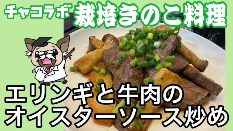 エリンギと牛肉のオイスターソース炒め〜栽培きのこ料理